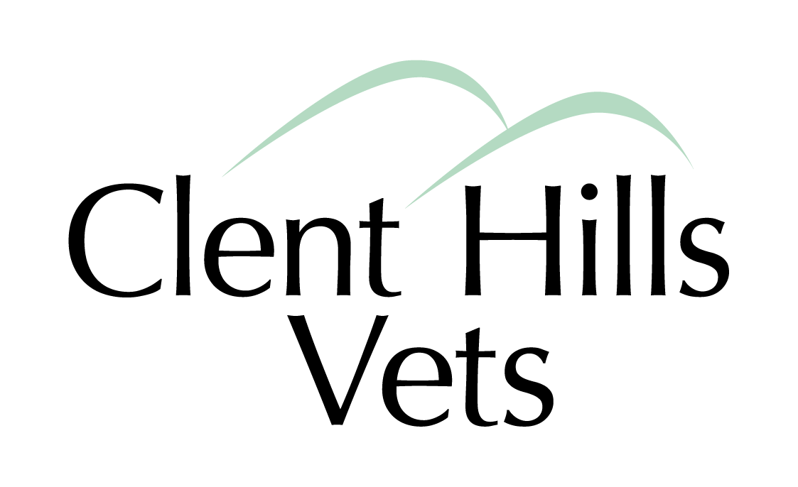 ClentHillsVet